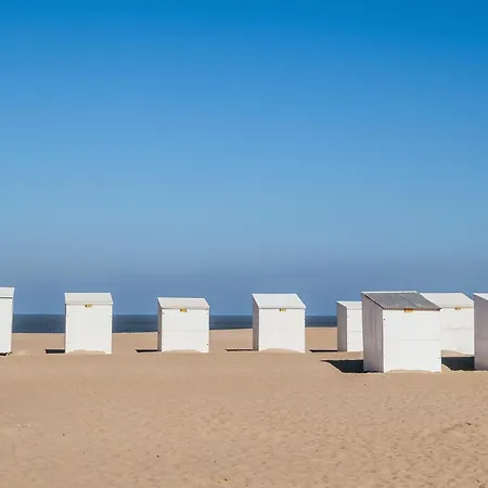 아파트 Near Dunes With Sea View, Cleaning Included 코크시데