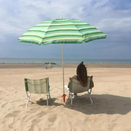 Near Dunes With Sea View, Cleaning Included 아파트 *