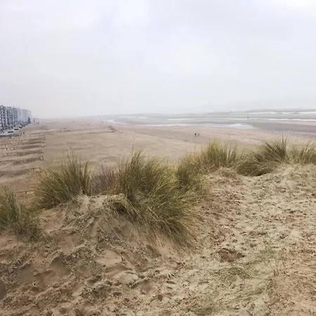 아파트 Near Dunes With Sea View, Cleaning Included *
