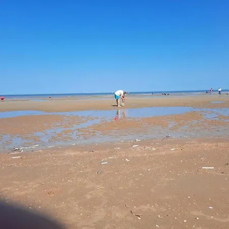 Near Dunes With Sea View, Cleaning Included 아파트 *