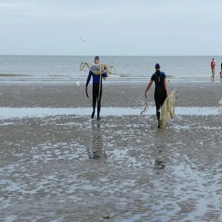 Near Dunes With Sea View, Cleaning Included דירה קוקסיידה