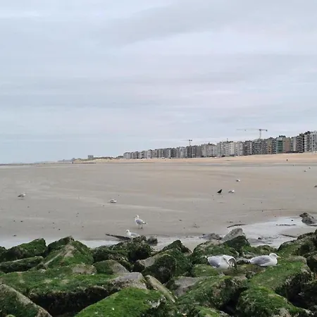 아파트 Near Dunes With Sea View, Cleaning Included *
