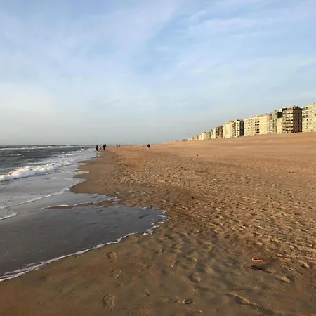 Near Dunes With Sea View, Cleaning Included 아파트 코크시데