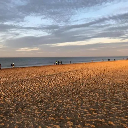 아파트 Near Dunes With Sea View, Cleaning Included 코크시데
